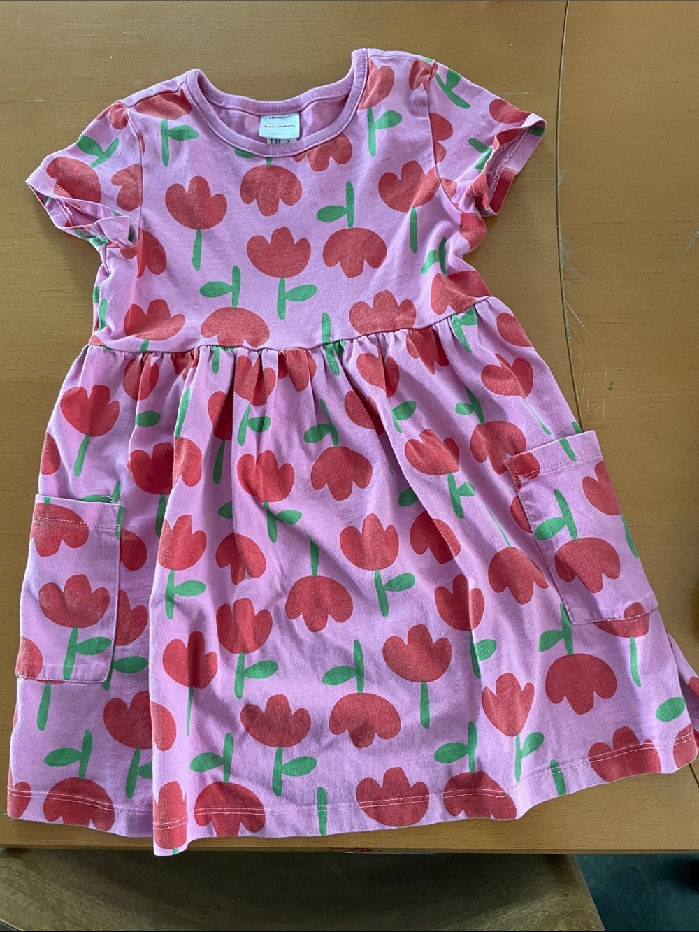Hanna Andersson Pink Dress with Red Tulip Print